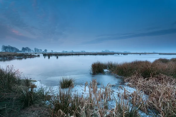 Lago selvagem congelado no inverno — Fotografia de Stock