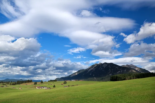 Blå himmel över alpina ängar — Stockfoto