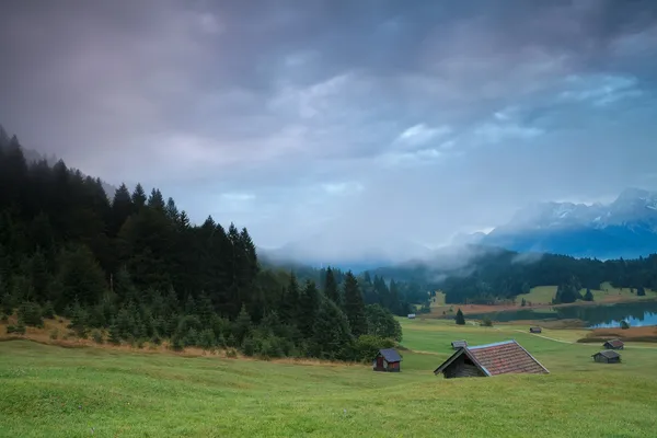 Amanecer brumoso en prados alpinos — Foto de Stock