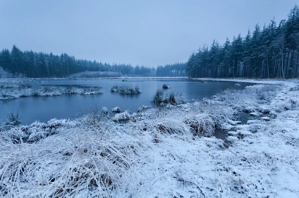 Snow Dimmig morgon vid sjön — Stockfoto