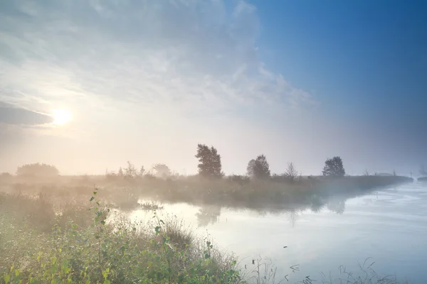 Mistige zonsopgang boven moeras in de zomer — Stockfoto