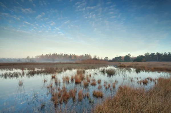 Gouden herfst zonsopgang boven moeras — Stockfoto