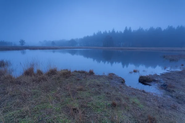 Autumn fog over wild lake in dusk — Stock Photo, Image