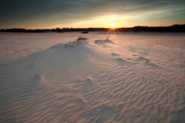 Sluníčko nad větrno písečné duny při západu slunce — Stock fotografie