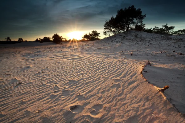 Gold sunshine over sand dunes — Stock Photo, Image