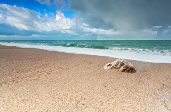 Gold sand beach on Atlantic ocean coast — Stock Photo, Image