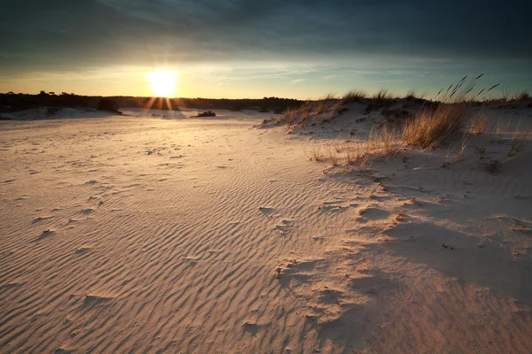 Sunset over sand dunes — Stock Photo, Image