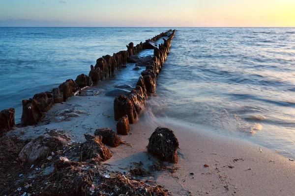 Старый деревянный волнолом в Северном море на закате — стоковое фото