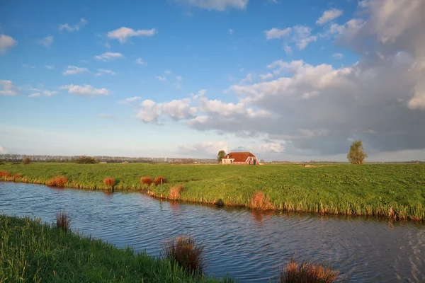 Gezellige boerderij door rivier tijdens zonnige zomer 's morgens — Stockfoto