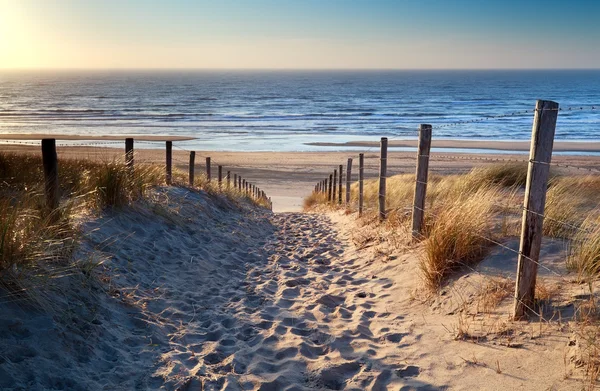 Pad naar Noordzeestrand in gouden zon — Stockfoto