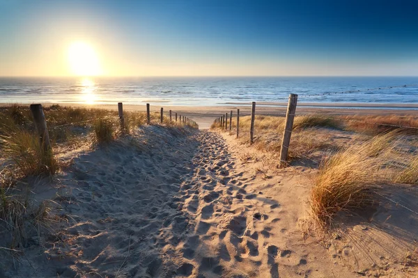 Caminho para a praia de areia no mar do Norte — Fotografia de Stock