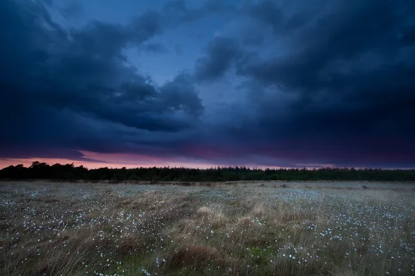 Dramático céu tempestade sobre pântano ao pôr do sol — Fotografia de Stock