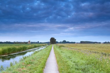 alan, nehir ve Hollanda Yeldeğirmeni yaz aylarında çiçeklenme