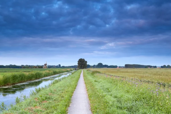 Campo fiorito, fiume e mulino a vento olandese in estate — Foto Stock