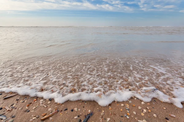 Κύματα ob άμμο παραλία της Βόρειας θάλασσας με μαλάκιο κελύφη — Φωτογραφία Αρχείου