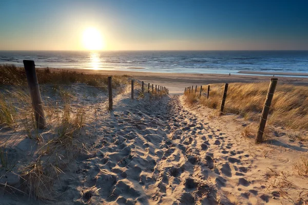 Luz do sol sobre o caminho para a praia no mar do Norte — Fotografia de Stock