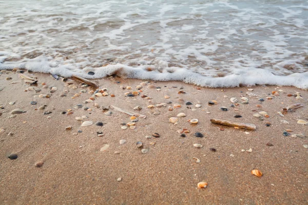 Ondas do mar na praia de areia com conchas mollisk — Fotografia de Stock