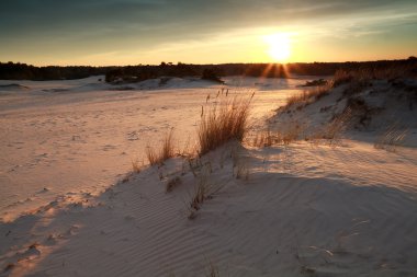 χρυσό ηλιοβασίλεμα πάνω από αμμόλοφους