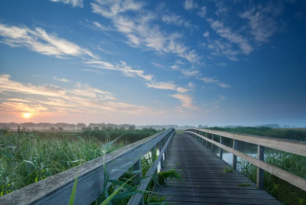 魅力的な木製橋霧日の出の川 — ストック写真
