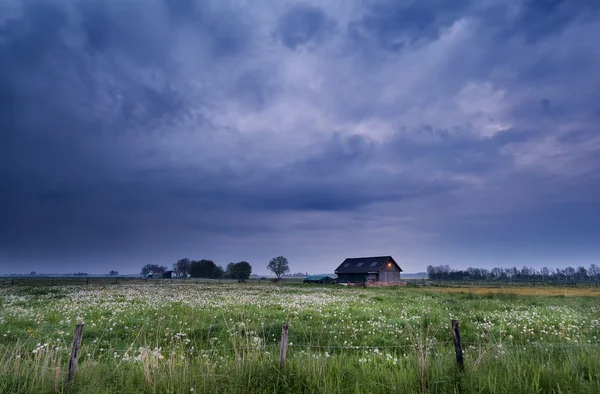 Kleines Bauernhaus auf der Weide mit Löwenzahn — Stockfoto