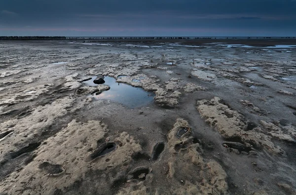 在 nirth 大海退潮期间在海岸泥 — 图库照片