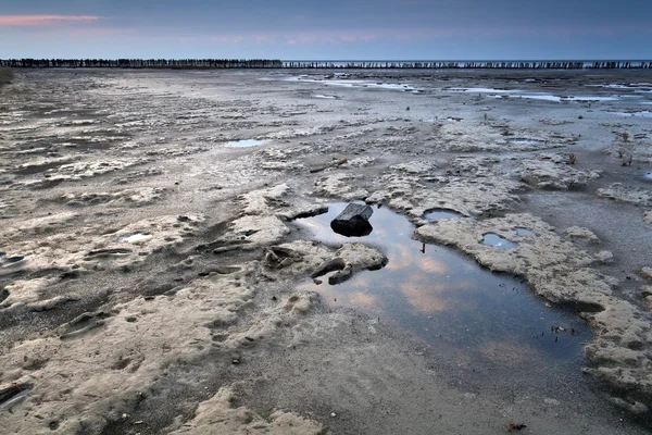 Mud at low tide on North sea — Stock Photo, Image