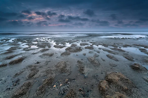 Maré baixa no mar do Norte — Fotografia de Stock
