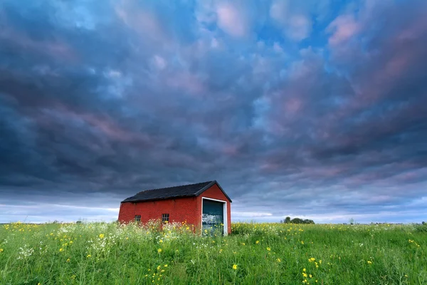 Sunset sky over farmhouse on rape field — Stock Photo, Image