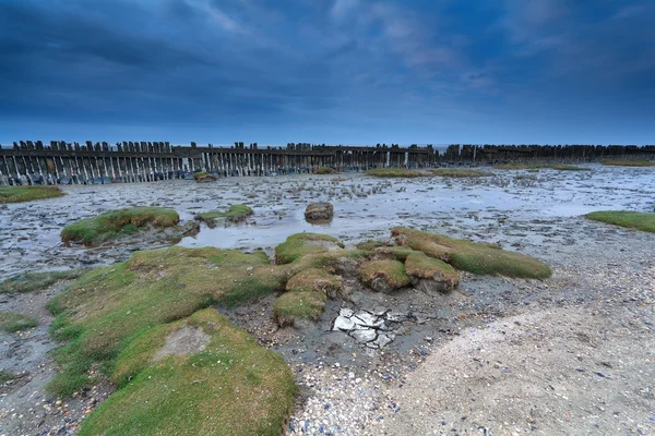 Low tide op de Noordzee in friesland — Stockfoto