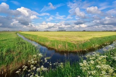 Hollanda tarım arazileri üzerinde mavi gökyüzü