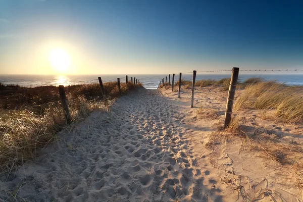 Sökväg på sand till stranden — Stockfoto