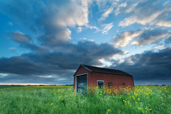 Atardecer cielo sobre granja en campo de colza —  Fotos de Stock