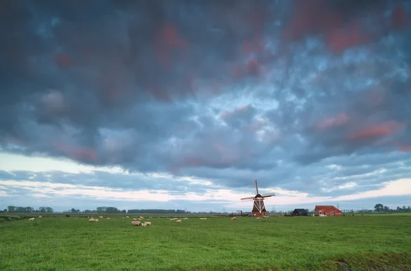 Alba sul mulino a vento olandese — Foto Stock