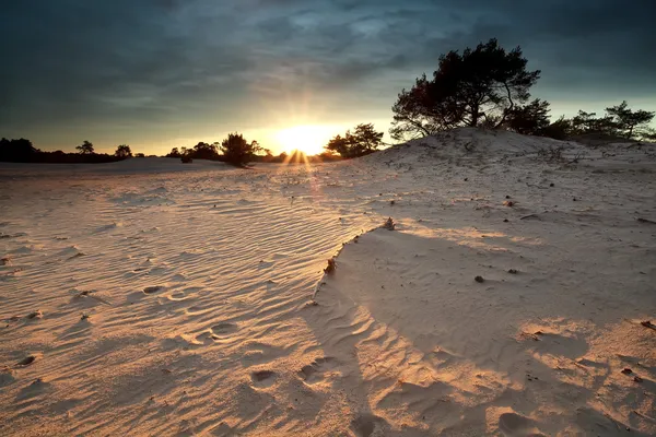 Sol sobre duna de arena — Foto de Stock