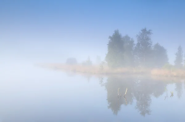 Tree island on lake in fog — Stock Photo, Image