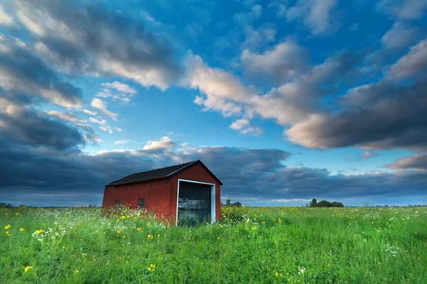 Bondgård på blommande äng under blå himmel — Stockfoto