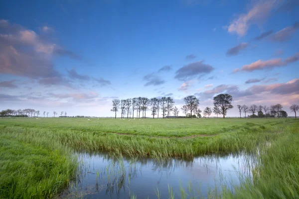 Cielo azul reflejado en el río en los prados —  Fotos de Stock