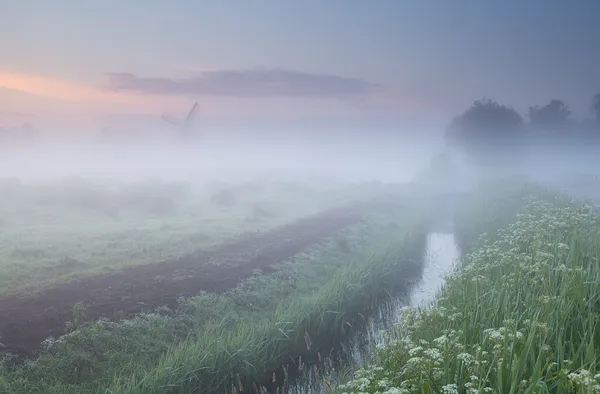 Květy a větrný mlýn v husté ranní mlha — Stock fotografie