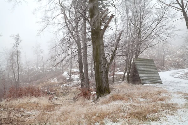 Cabana de madeira na floresta nevada — Fotografia de Stock