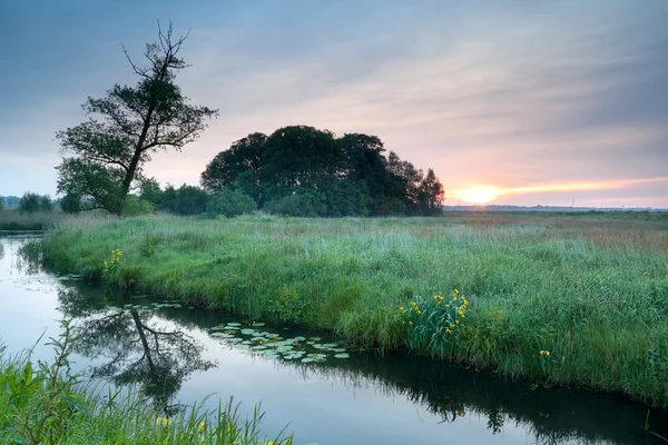 Sonnenaufgang über dem Fluss im Frühling — Stockfoto