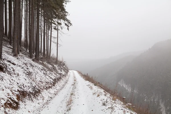 Nebuloso dia de inverno nas montanhas — Fotografia de Stock