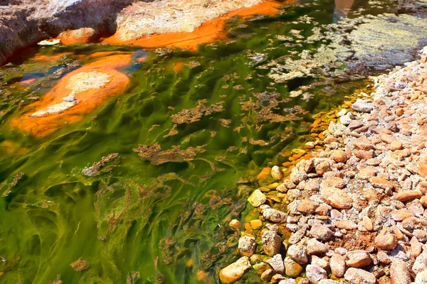 Green alga in acidic river — Stock Photo, Image