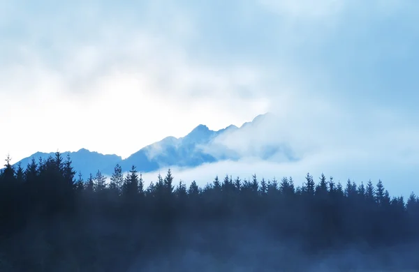 Silueta de montaña en la niebla de la mañana —  Fotos de Stock