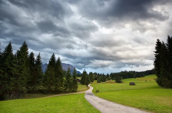 Path to alpine meadows — Stock Photo, Image