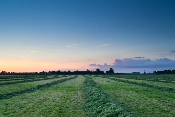 Letní slunce nad čerstvý seno na pastvině — Stock fotografie