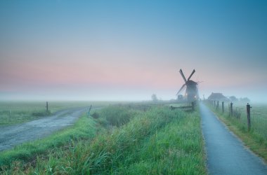 Hollanda Tarım arazileri üzerinde güzel misty gündoğumu