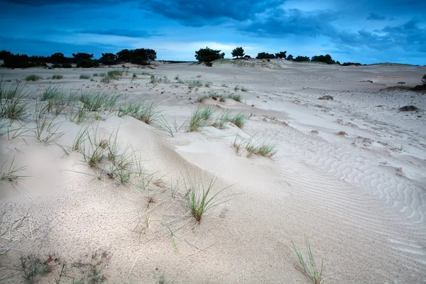 Zandduinen in de avond — Stockfoto