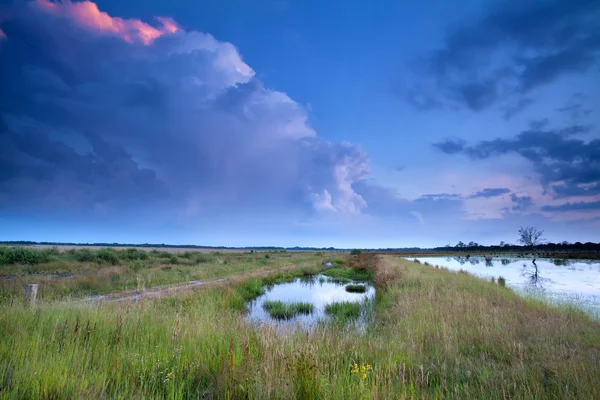 Stormy sky bij zonsondergang over moeras — Stockfoto