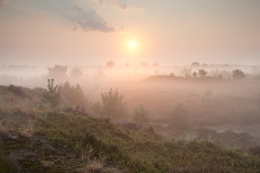 Altın puslu sunrise hills üzerinde