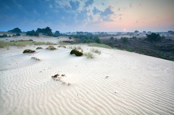 Zonsopgang boven de zandduinen en heather — Stockfoto